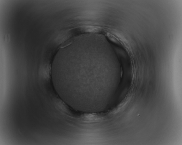 X0000093150325200710101140