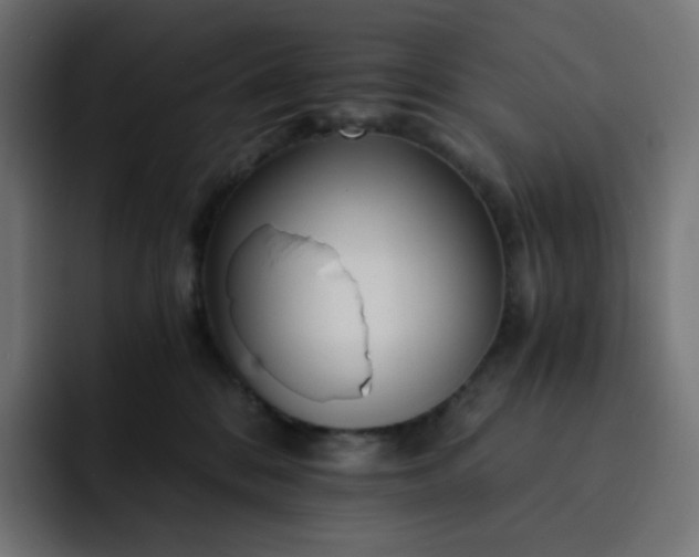 X0000093150328200710101140