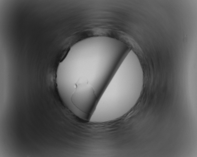 X0000093150329200710101140