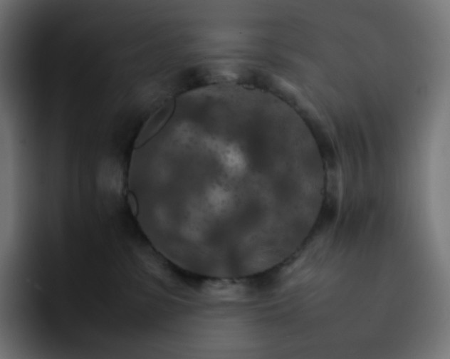 X0000093150331200710101140