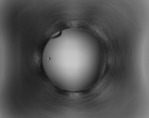 X0000093150332200710101140