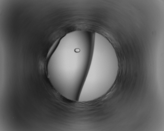 X0000093150333200710101140