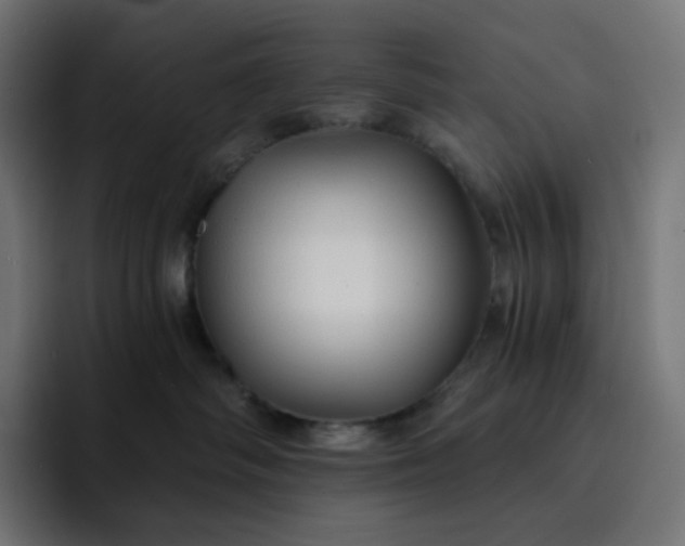 X0000093150334200710101140