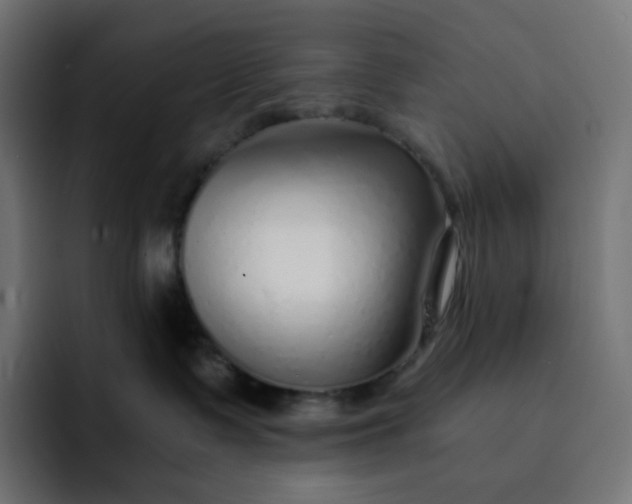 X0000093150335200710101140