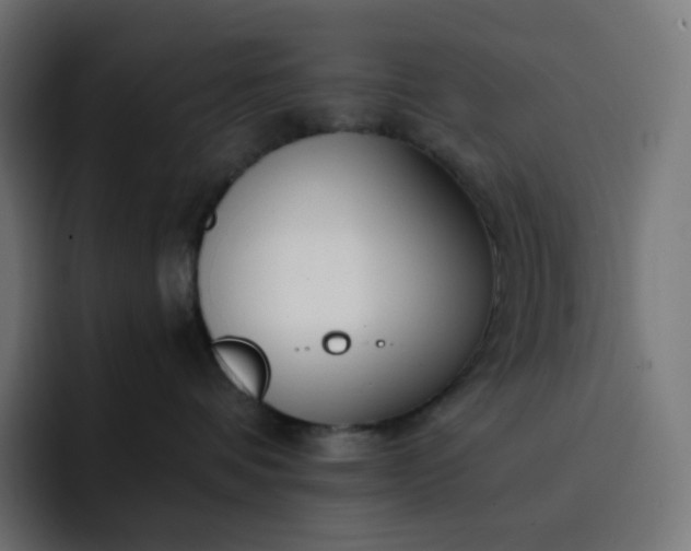 X0000093150336200710101140