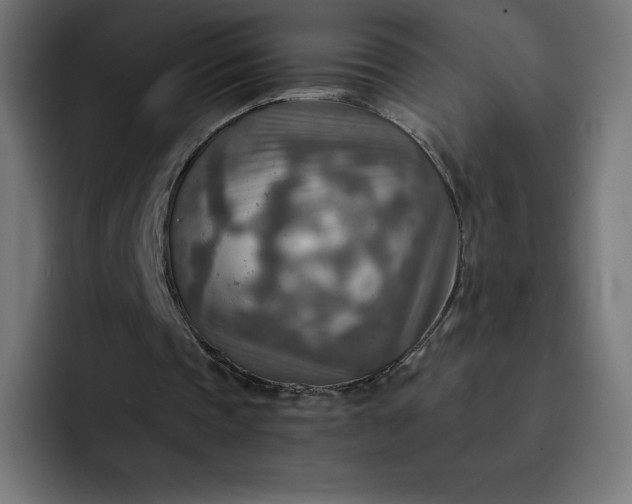 X0000093150337200710101140