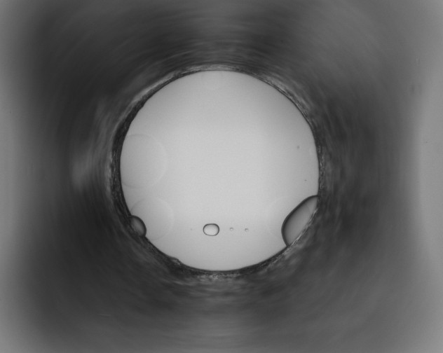 X0000093150338200710101140