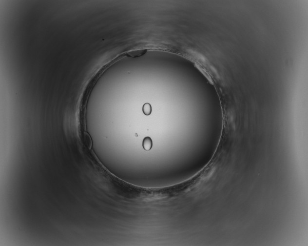 X0000093150340200710101140