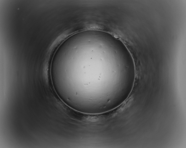 X0000093150341200710101140