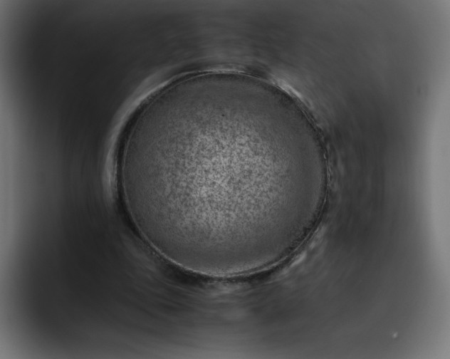 X0000093150343200710101140