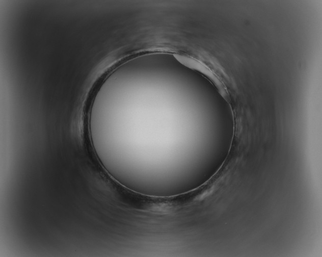 X0000093150344200710101140