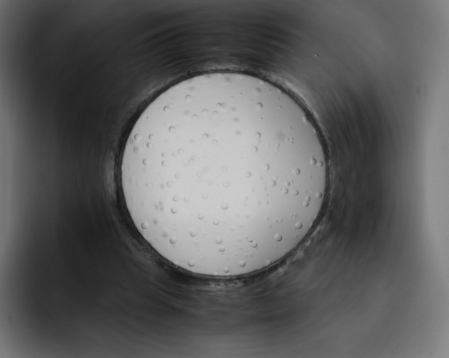 X0000093150345200710101140