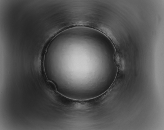 X0000093150346200710101140