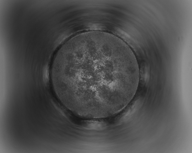 X0000093150347200710101140