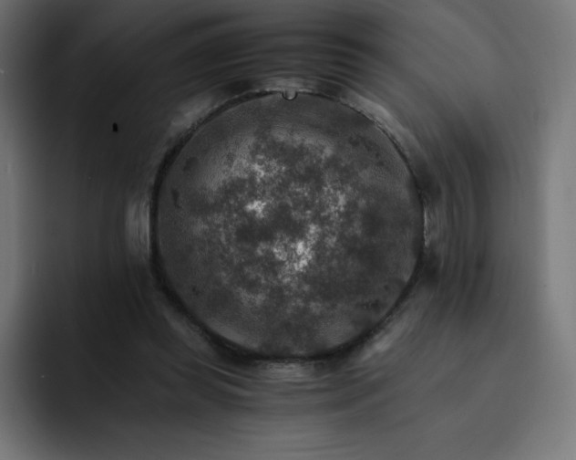 X0000093150349200710101140