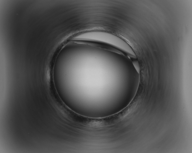 X0000093150350200710101140