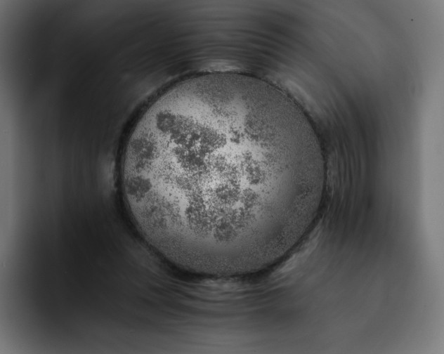 X0000093150351200710101140