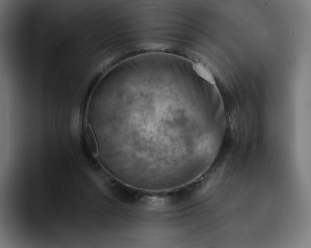 X0000093150352200710101140