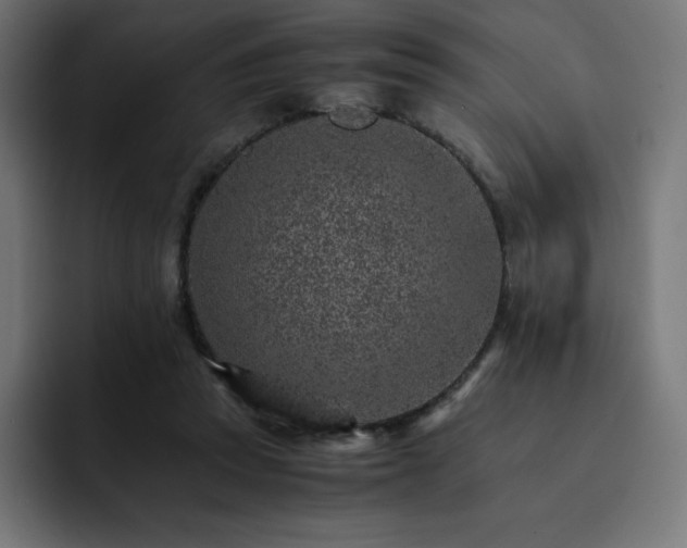 X0000093150353200710101140