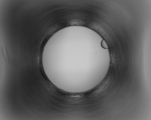 X0000093150357200710101140