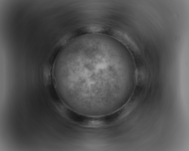 X0000093150360200710101140