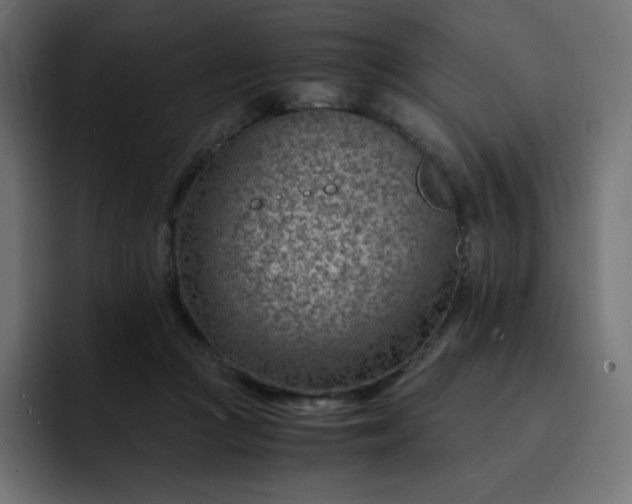 X0000093150361200710101140