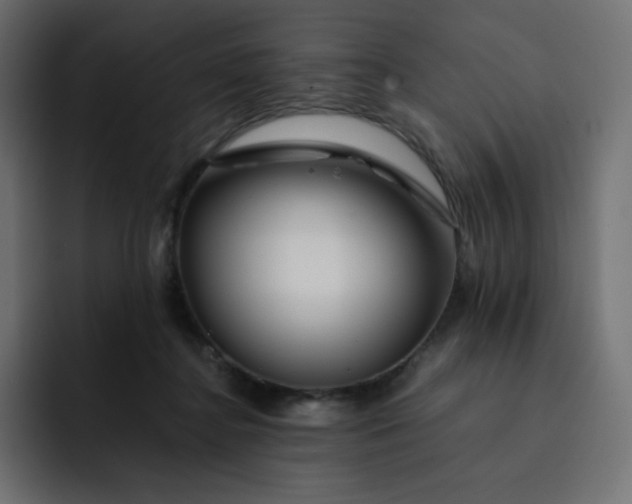 X0000093150364200710101140