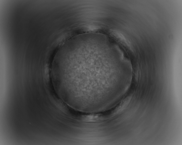 X0000093150366200710101140