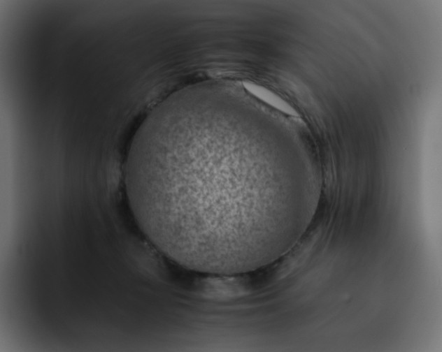 X0000093150367200710101140