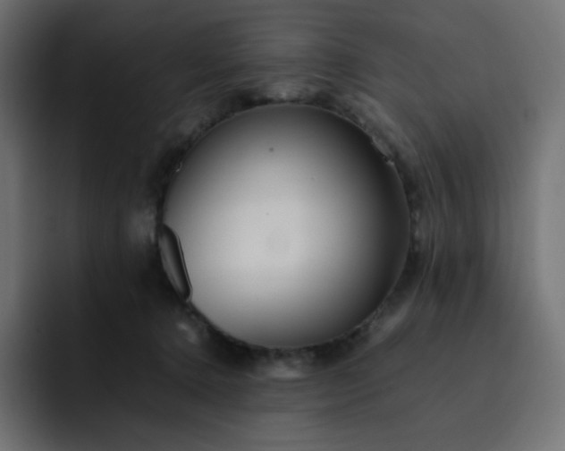 X0000093150368200710101140