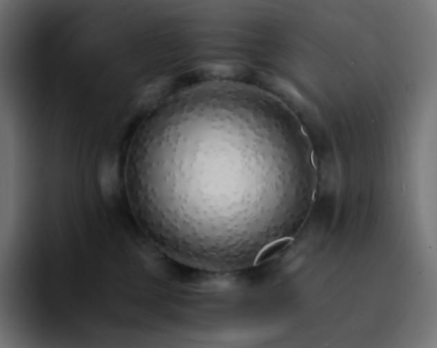 X0000093150377200710101140