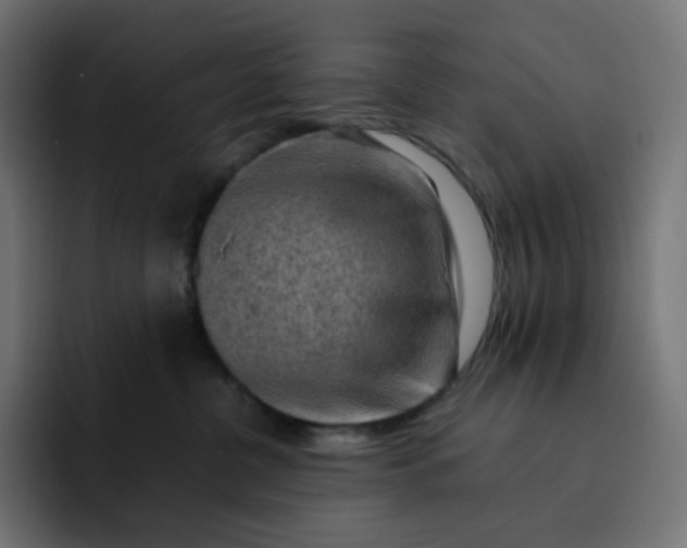 X0000093150380200710101140