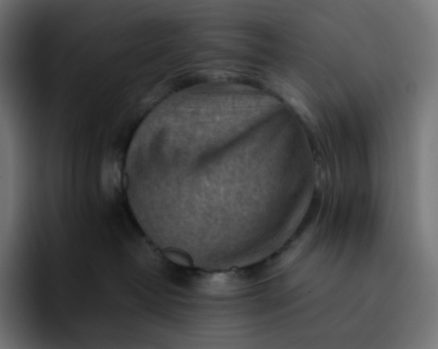 X0000093150382200710101140