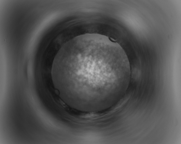 X0000093150383200710101140