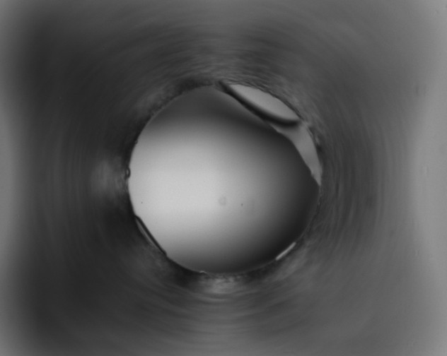 X0000093150384200710101140