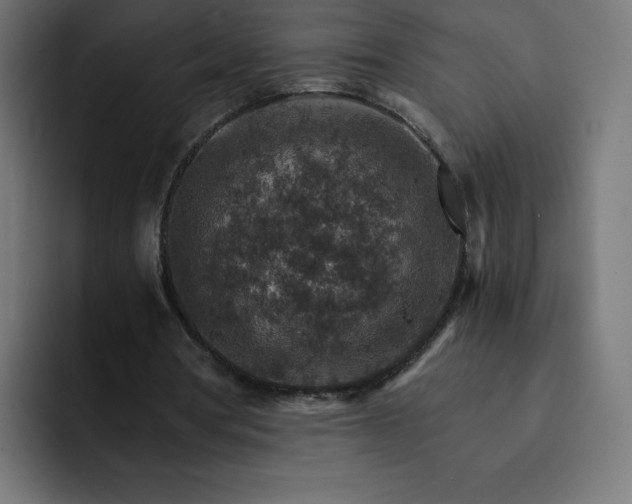 X0000093150386200710101140