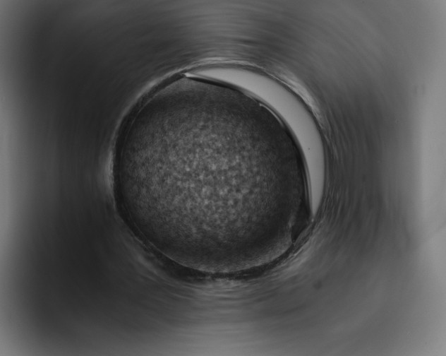 X0000093150387200710101140