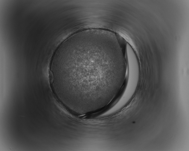 X0000093150389200710101140