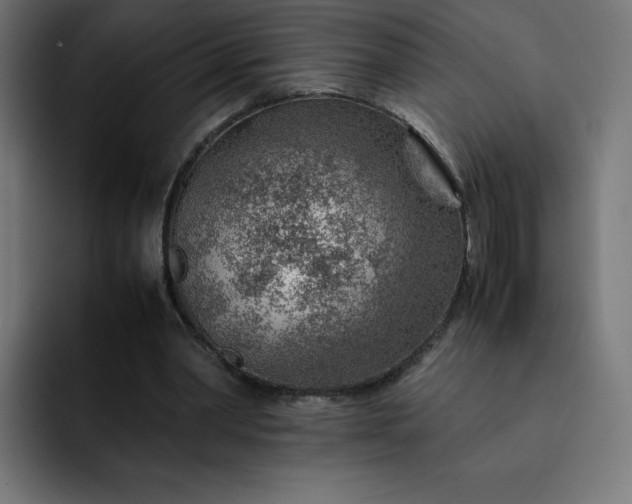 X0000093150390200710101139