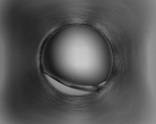 X0000093150395200710101139