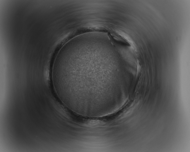 X0000093150399200710101139