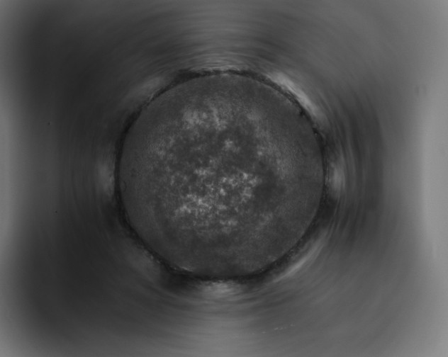 X0000093150402200710101139