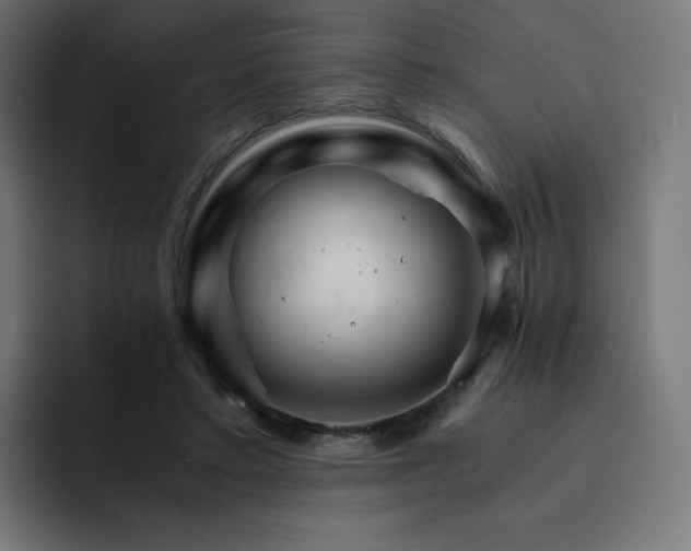 X0000093150403200710101139