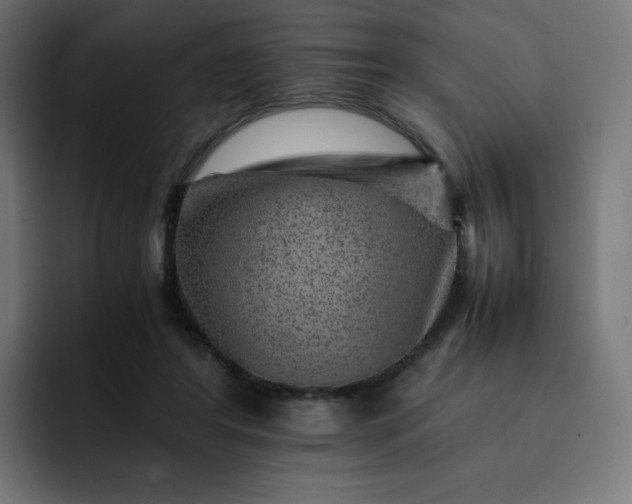 X0000093150404200710101139