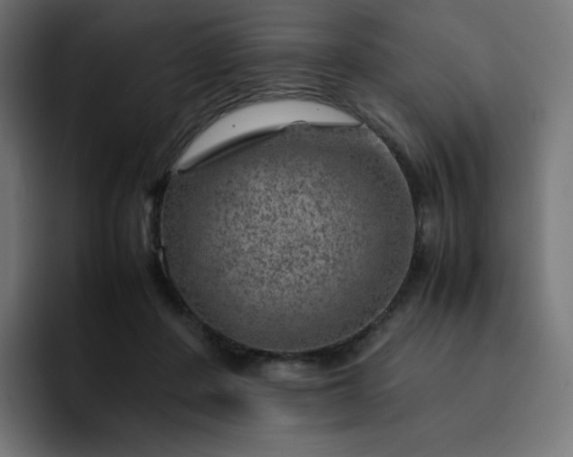 X0000093150408200710101139