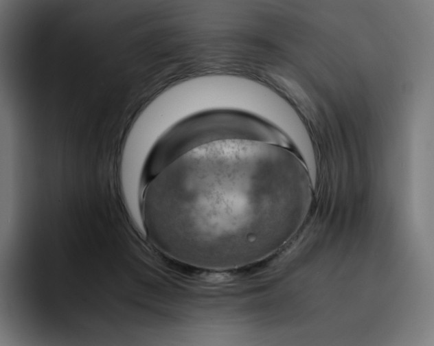 X0000093150409200710101139