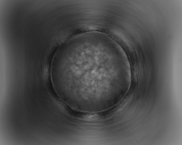 X0000093150410200710101139