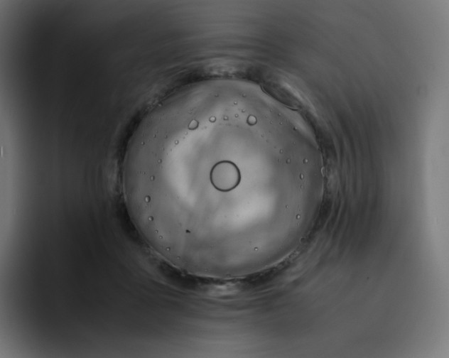 X0000093150411200710101139