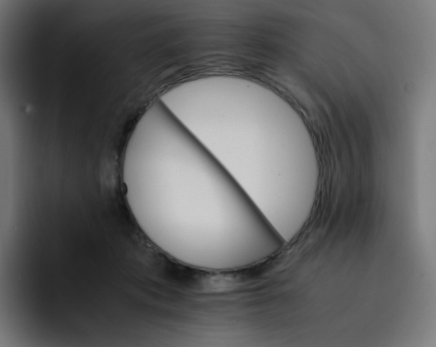 X0000093150413200710101139