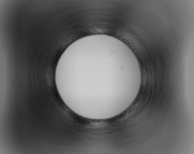 X0000093150414200710101139